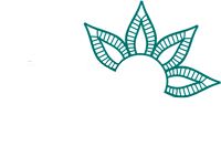 Jadeh Danza